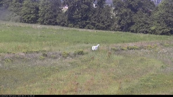 Cell 2 to 3_23-08-21_12-36-26-04