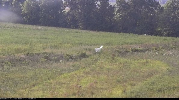 Cell 2 to 3_23-08-21_17-37-52-00