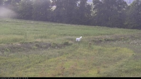 Cell 2 to 3_23-08-21_19-18-21-09