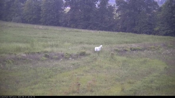 Cell 2 to 3_23-08-21_20-25-20-06