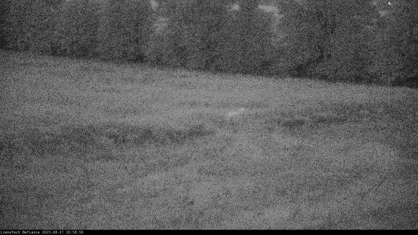 Cell 2 to 3_23-08-21_20-58-51-01