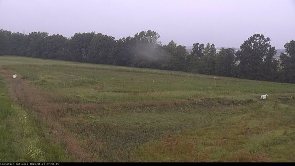 Cell 2_23-08-21_07-34-45-95