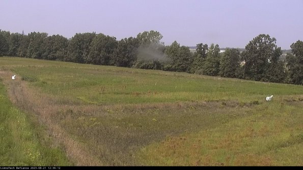 Cell 2_23-08-21_12-36-12-93