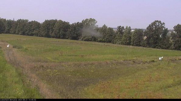 Cell 2_23-08-21_13-09-42-88