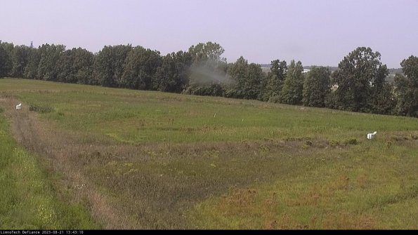 Cell 2_23-08-21_13-43-10-90