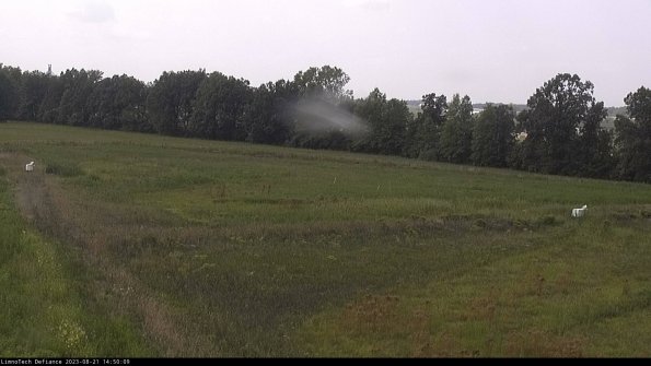 Cell 2_23-08-21_14-50-09-93