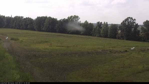 Cell 2_23-08-21_16-30-40-89