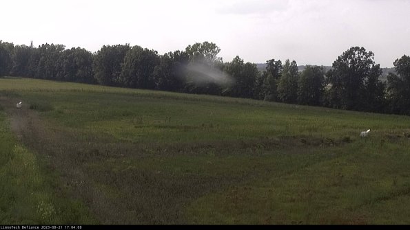 Cell 2_23-08-21_17-04-08-87