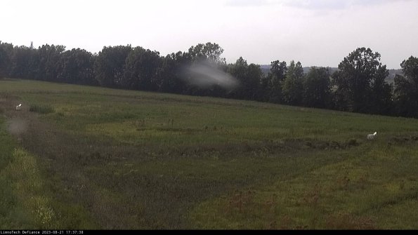 Cell 2_23-08-21_17-37-38-89