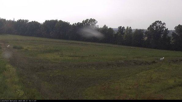 Cell 2_23-08-21_18-11-07-90