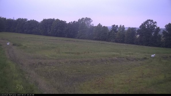 Cell 2_23-08-21_20-25-06-95