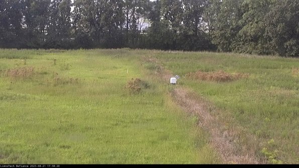 Cell 3 to 4_23-08-21_17-38-20-86