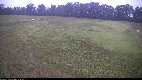 Cell 3_23-08-21_07-01-43-86