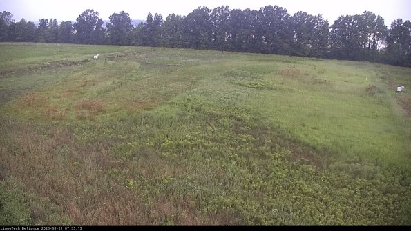 Cell 3_23-08-21_07-35-13-88