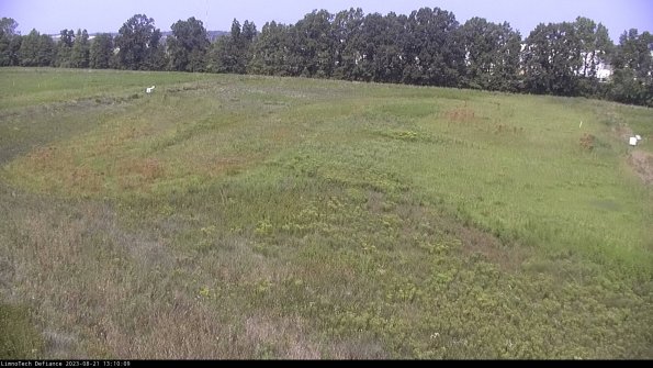 Cell 3_23-08-21_13-10-10-11