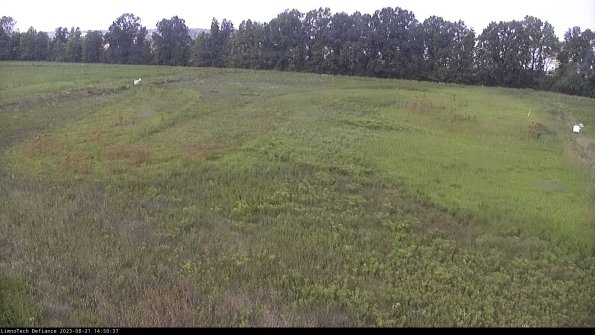 Cell 3_23-08-21_14-50-37-86