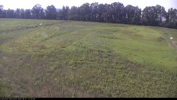 Cell 3_23-08-21_17-38-06-88