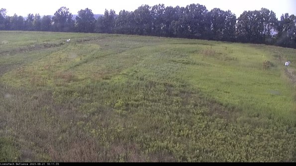 Cell 3_23-08-21_18-11-35-86