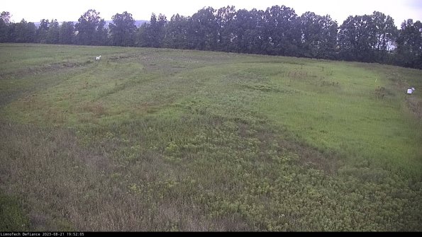 Cell 3_23-08-21_19-52-05-89