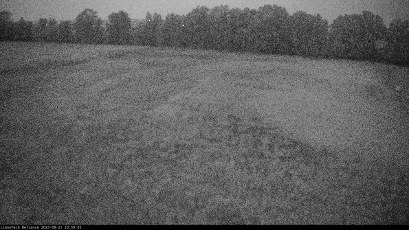 Cell 3_23-08-21_20-59-05-90