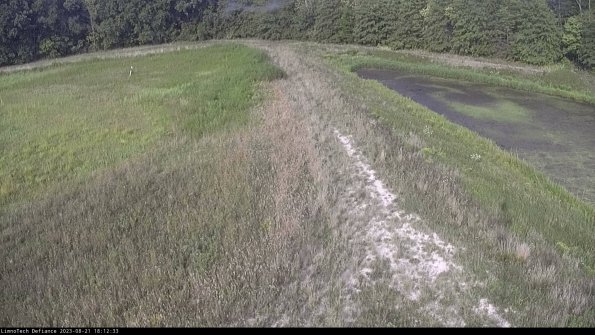 Cell 4 to Basin_23-08-21_18-12-33-86