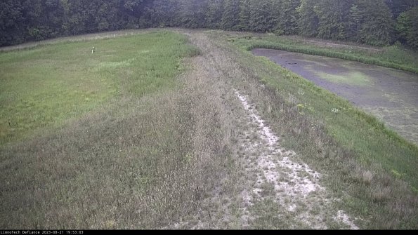 Cell 4 to Basin_23-08-21_19-53-03-88