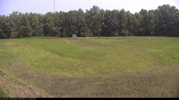 Cell 4_23-08-21_12-03-39-87