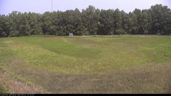 Cell 4_23-08-21_13-10-37-87