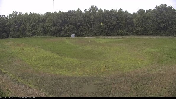 Cell 4_23-08-21_14-51-05-86