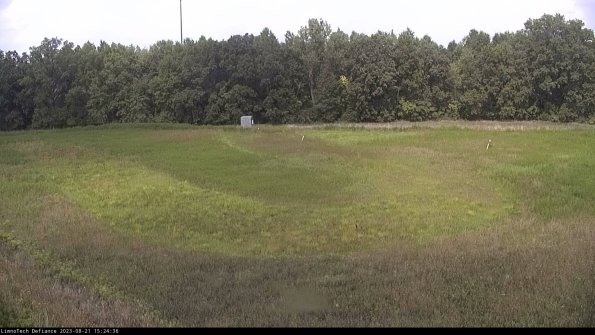 Cell 4_23-08-21_15-24-36-88