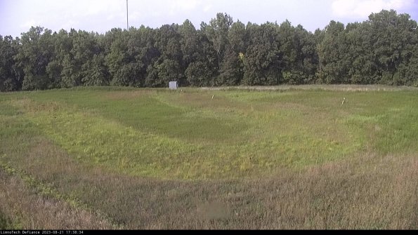 Cell 4_23-08-21_17-38-34-87