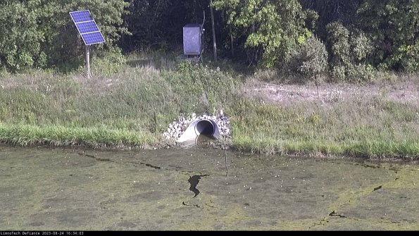 Basin Inflow_23-08-24_16-34-03-88