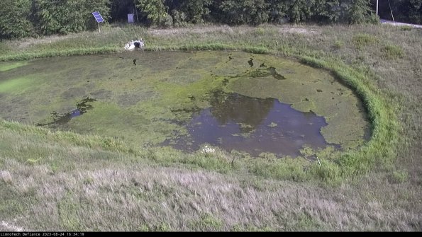 Basin Right_23-08-24_16-34-19-89