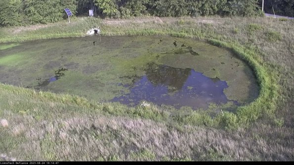 Basin Right_23-08-24_18-14-47-88