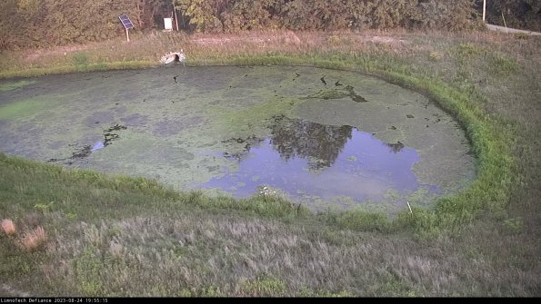 Basin Right_23-08-24_19-55-15-90