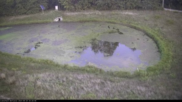 Basin Right_23-08-24_20-28-46-89