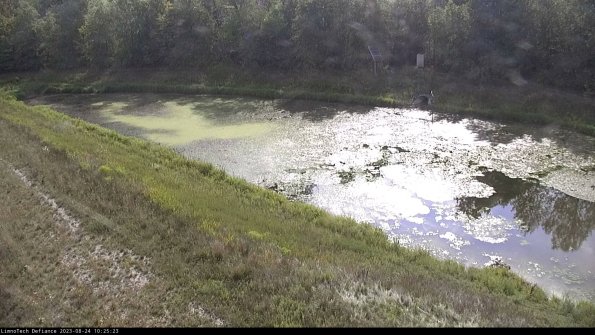 Basin_23-08-24_10-25-24-02