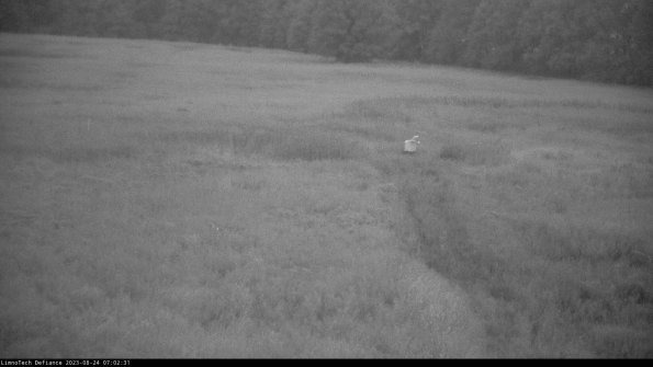 Cell 1 to 2_23-08-24_07-02-31-88