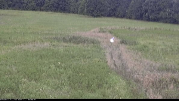 Cell 1 to 2_23-08-24_09-16-31-89