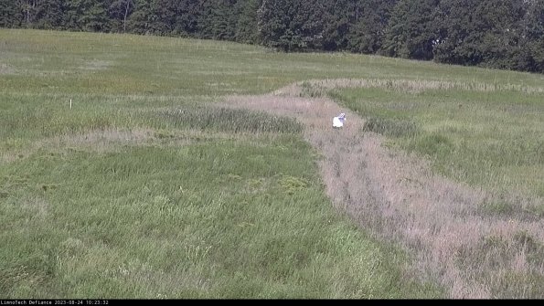 Cell 1 to 2_23-08-24_10-23-32-87