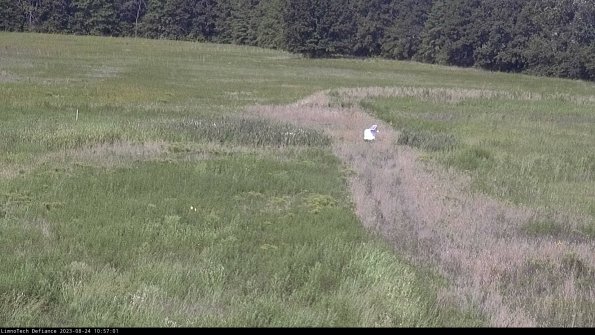 Cell 1 to 2_23-08-24_10-57-01-86