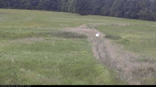 Cell 1 to 2_23-08-24_11-30-31-88