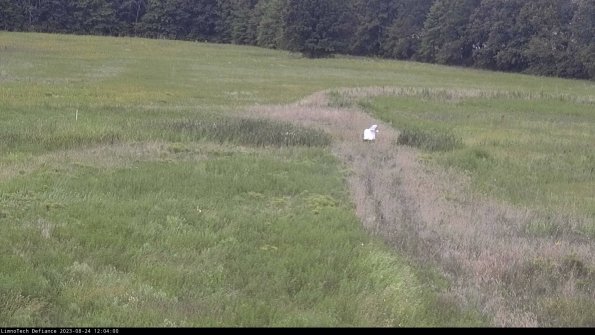 Cell 1 to 2_23-08-24_12-04-00-86