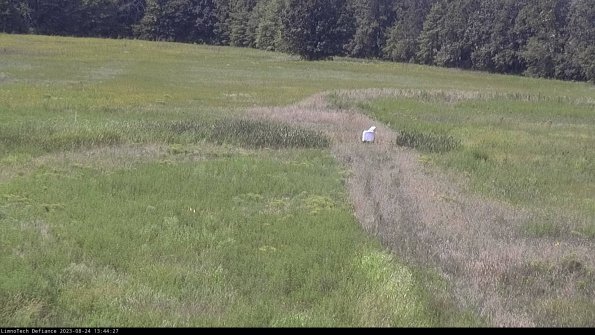 Cell 1 to 2_23-08-24_13-44-27-85