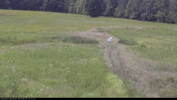 Cell 1 to 2_23-08-24_14-17-57-87