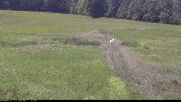 Cell 1 to 2_23-08-24_14-51-28-86