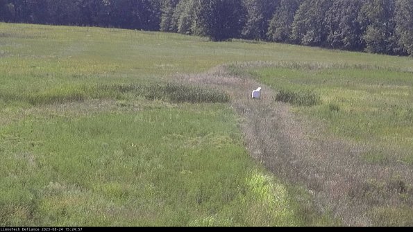 Cell 1 to 2_23-08-24_15-24-57-88