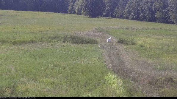 Cell 1 to 2_23-08-24_15-58-28-87