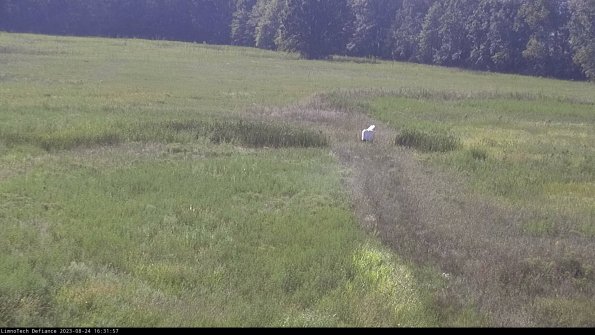 Cell 1 to 2_23-08-24_16-31-57-88