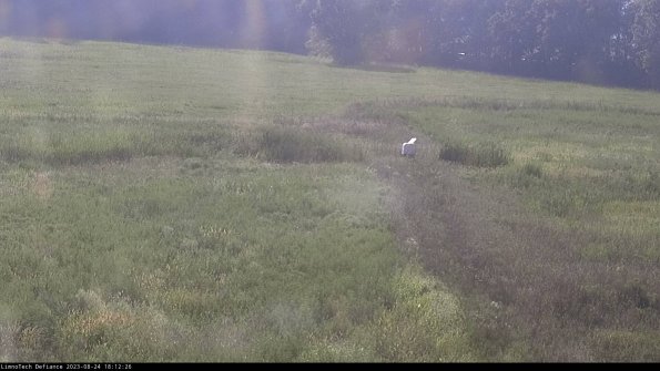 Cell 1 to 2_23-08-24_18-12-26-87